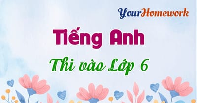 Thi vào Lớp 6